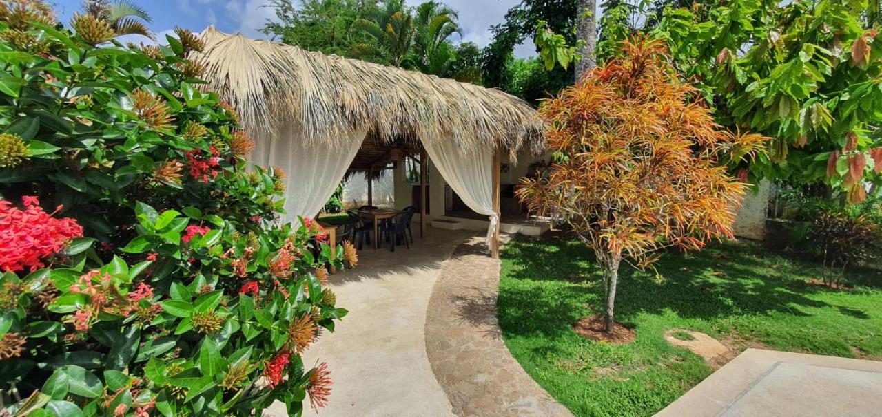 Hotel Casa Gio Las Terrenas Zewnętrze zdjęcie